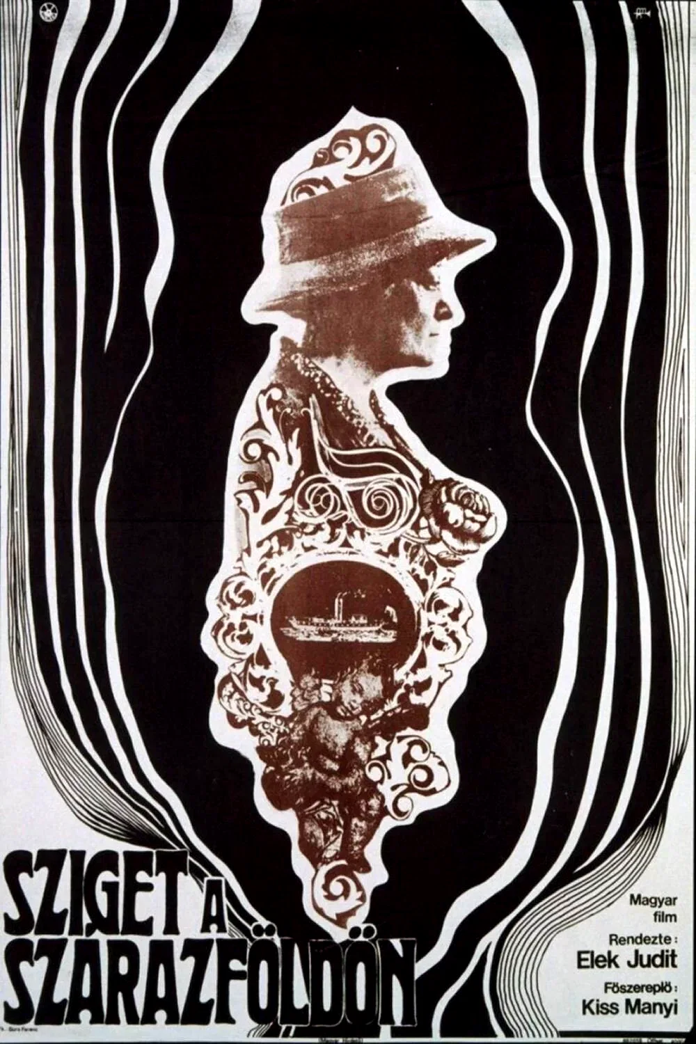 Affiche du film : La dame de constantinople
