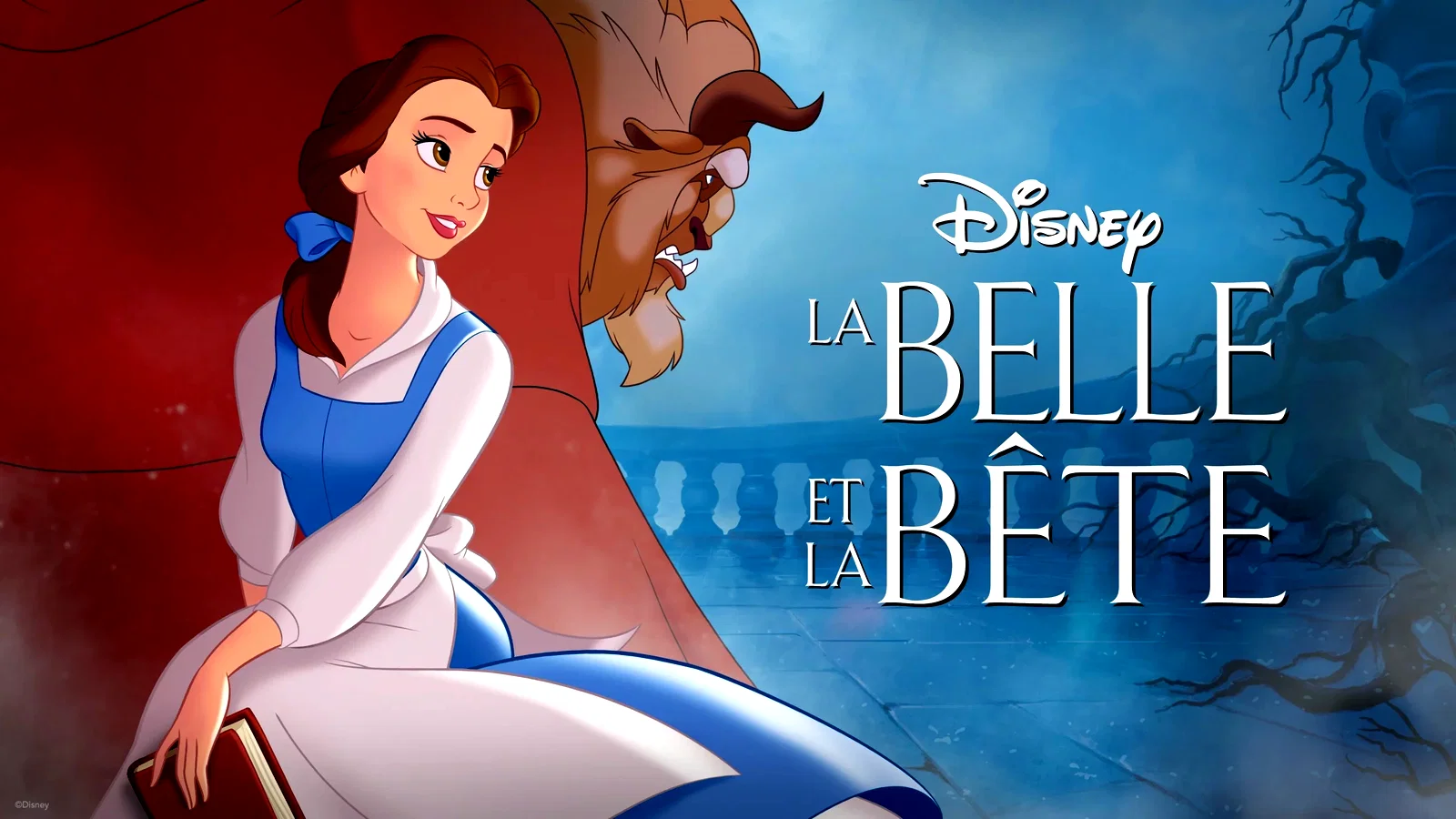 Photo du film : La Belle et la Bête