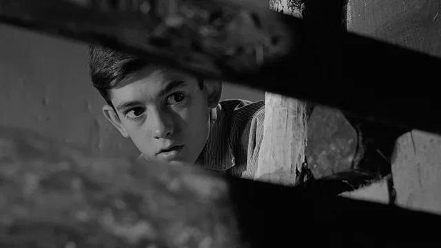 Photo 1 du film : Le chemin