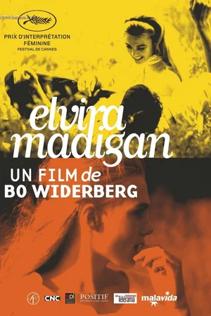 Photo 5 du film : Elvira madigan