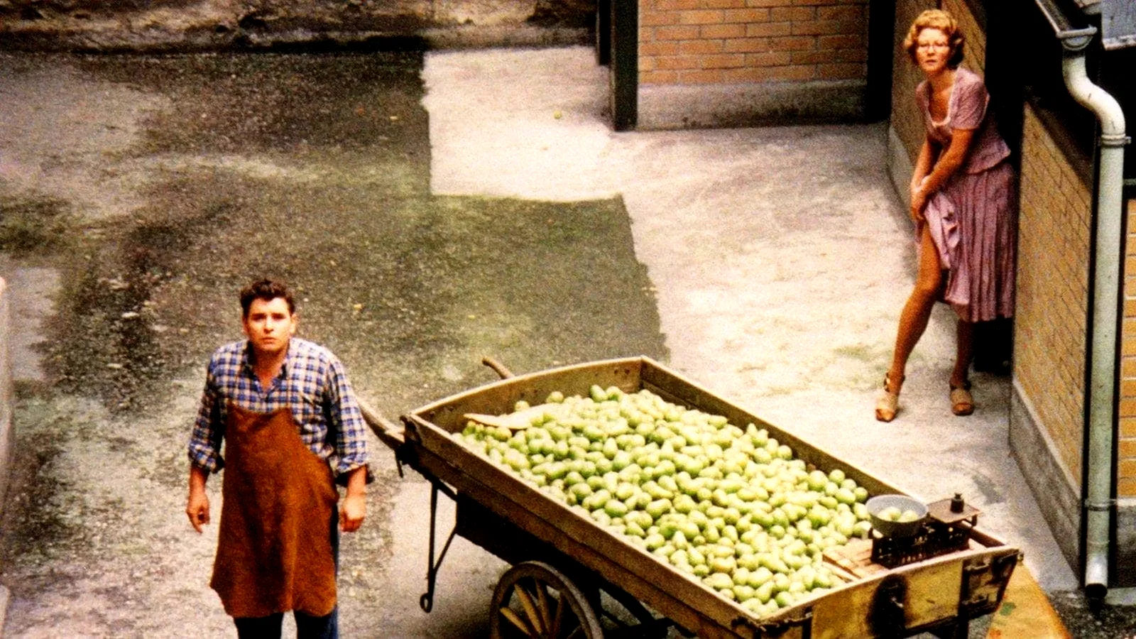 Photo 4 du film : Le marchand des quatre saisons