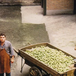 Photo du film : Le marchand des quatre saisons