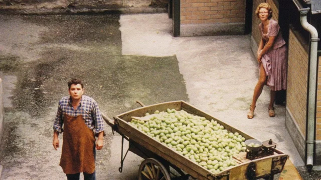 Photo 4 du film : Le marchand des quatre saisons