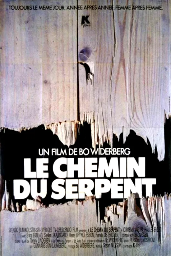 Affiche du film : Le chemin du serpent