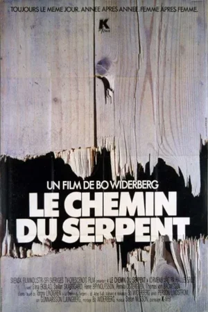Affiche du film : Le chemin du serpent