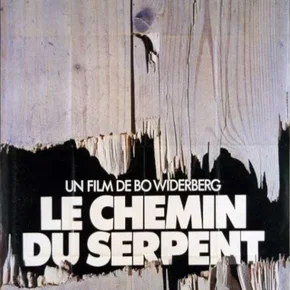 Photo du film : Le chemin du serpent