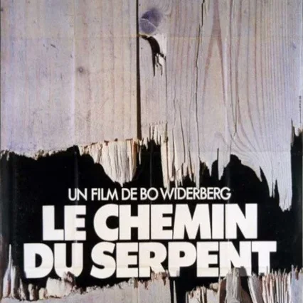 Miniature photo du film : Le chemin du serpent