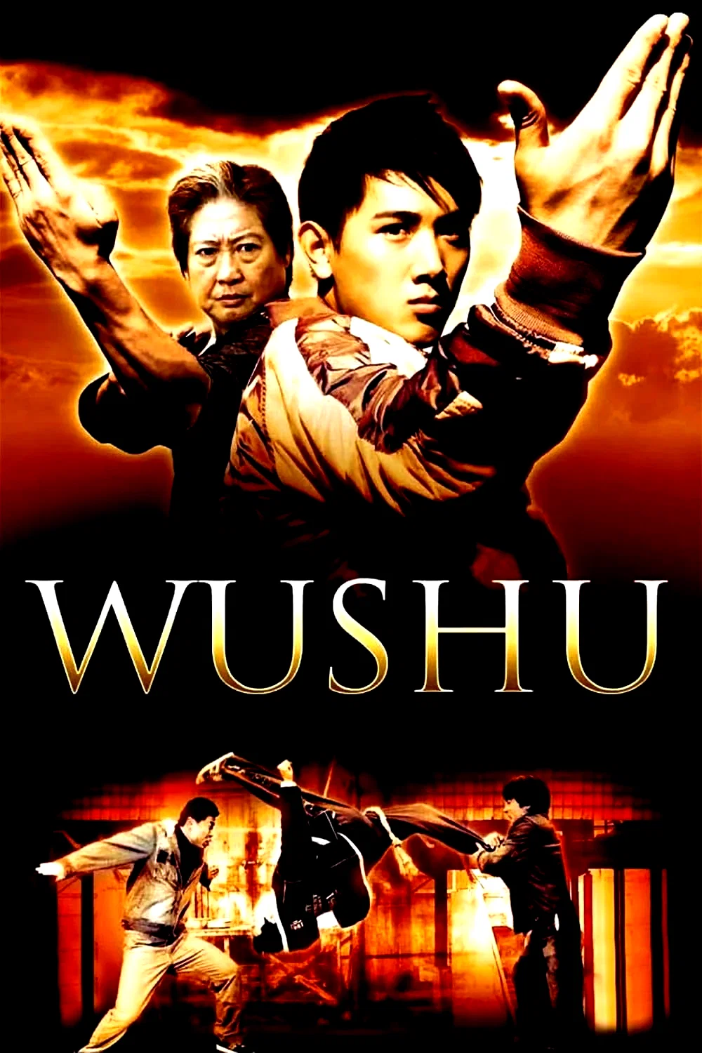 Affiche du film : Wushu