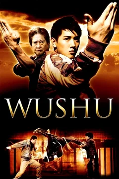 Affiche du film Wushu