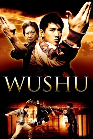 Affiche du film : Wushu