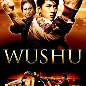 Photo du film : Wushu