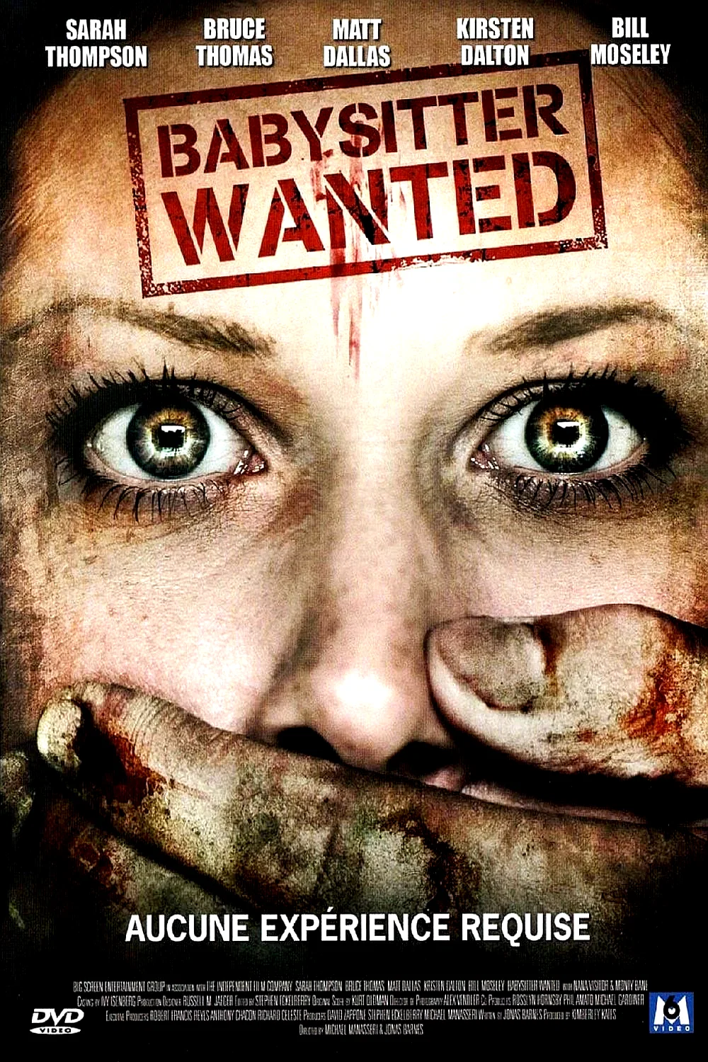 Affiche du film : Babysitter Wanted