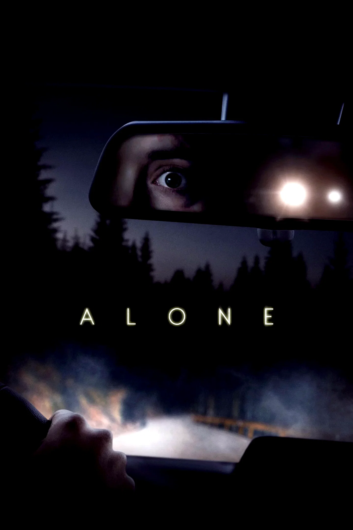 Affiche du film : Alone