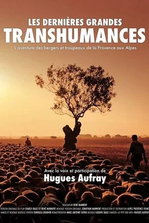 Affiche du film : Les Dernières grandes Transhumances