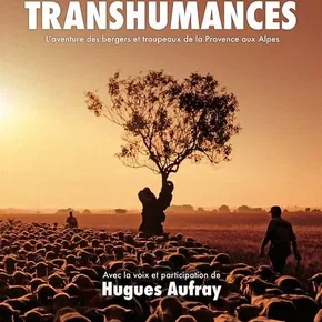 Photo du film : Les Dernières grandes Transhumances