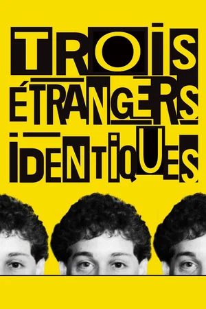 Affiche du film : Trois étrangers identiques