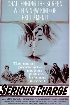 Affiche du film charge grave