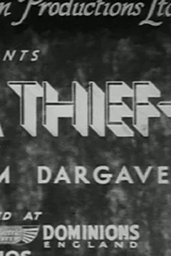 Affiche du film Once a Thief