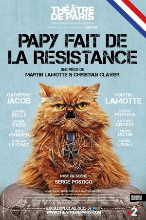 Affiche du film : Papy fait de la résistance