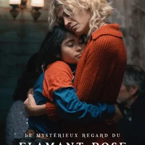 Photo du film : Le Mystérieux regard du flamant rose
