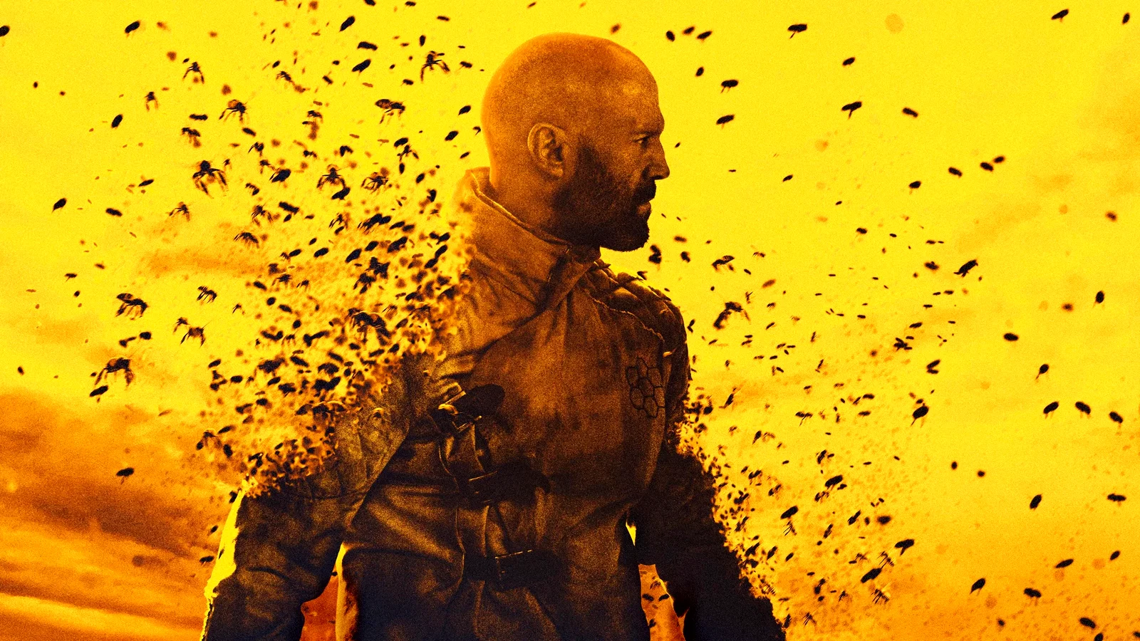 Photo 9 du film : The Beekeeper