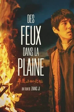 Affiche du film Des Feux dans la Plaine