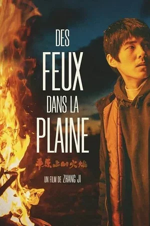 Affiche du film : Des Feux dans la Plaine