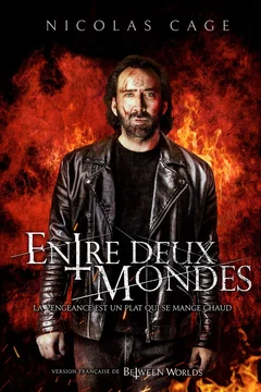 Affiche du film Possession