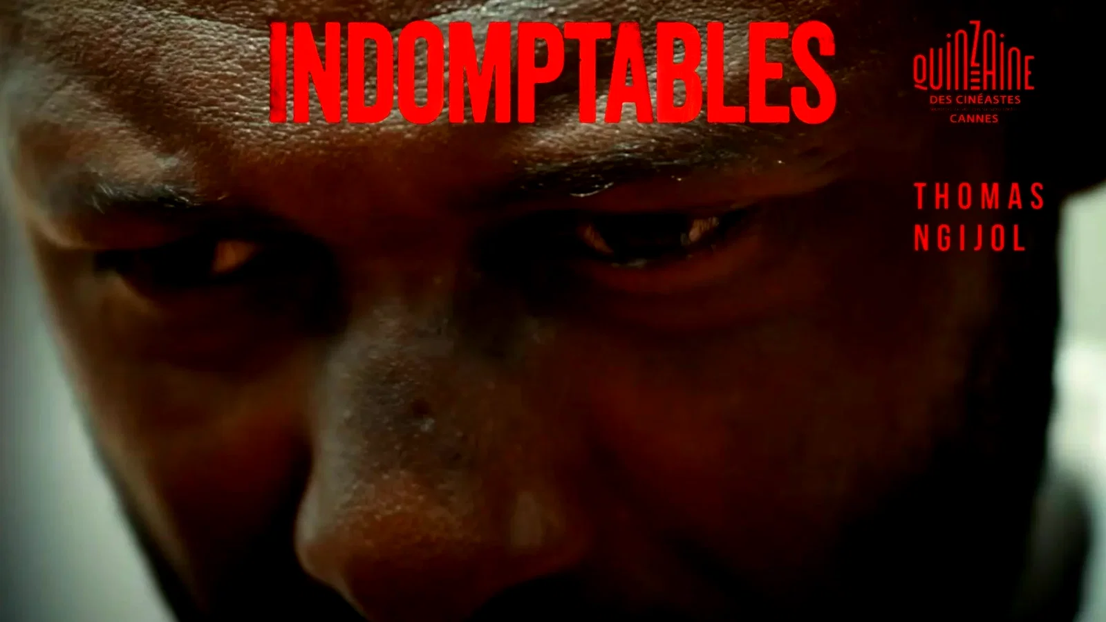 Photo 3 du film : Indomptables