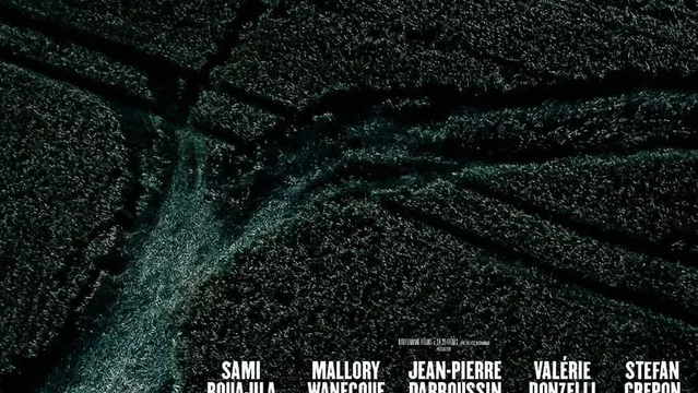 Affiche du film : Rapaces