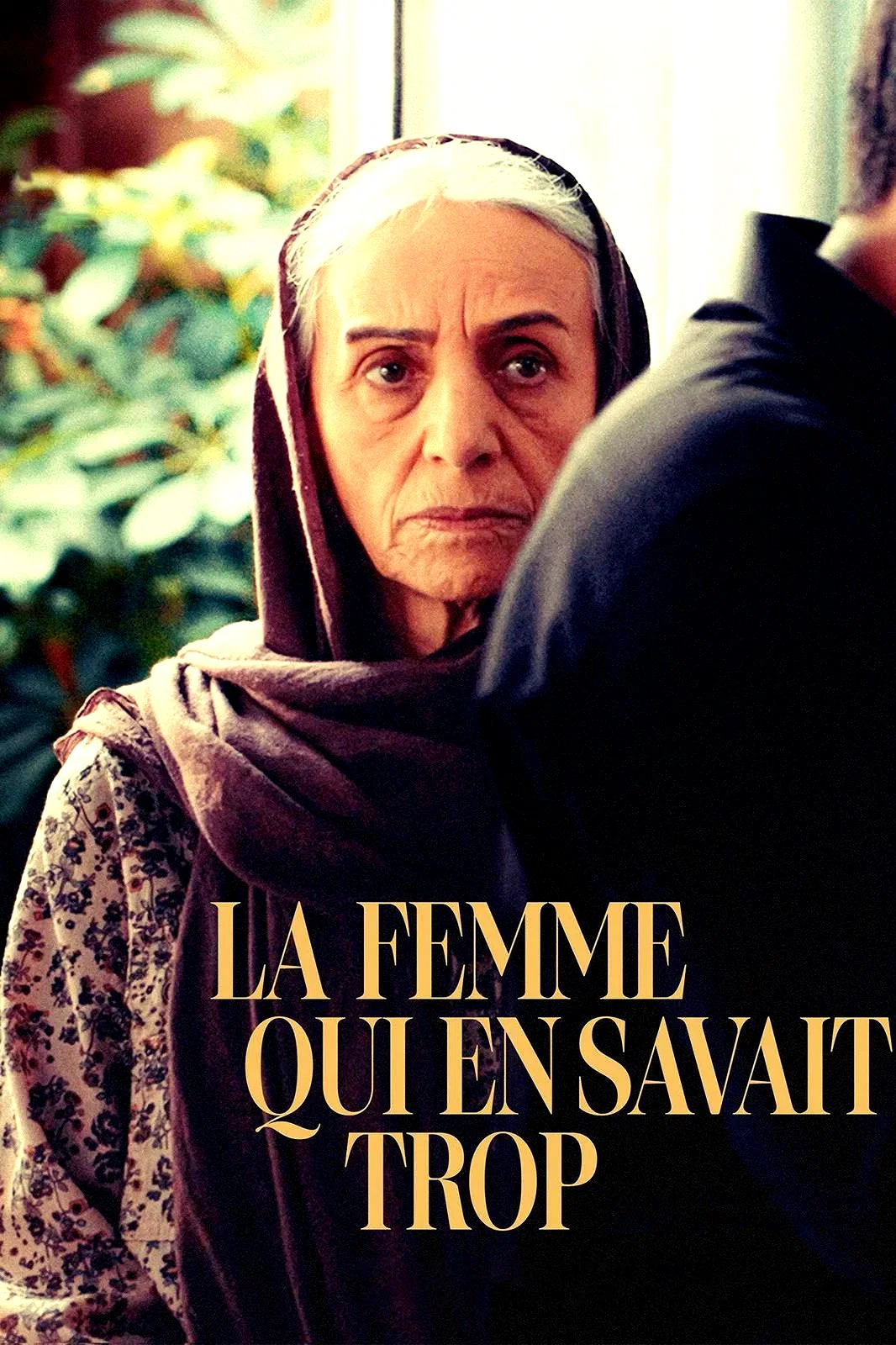 Affiche du film : La Femme qui en savait trop