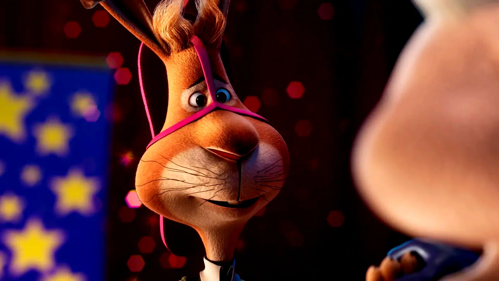 Photo 2 du film : Walter Lapin