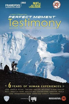 Affiche du film Perfect Moment - Testimony