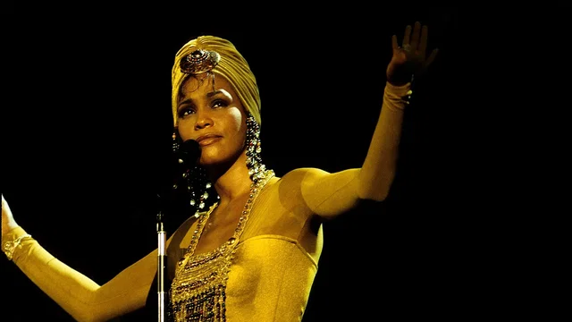 Affiche du film : Whitney Houston – The Concert for a New South Africa (Durban)