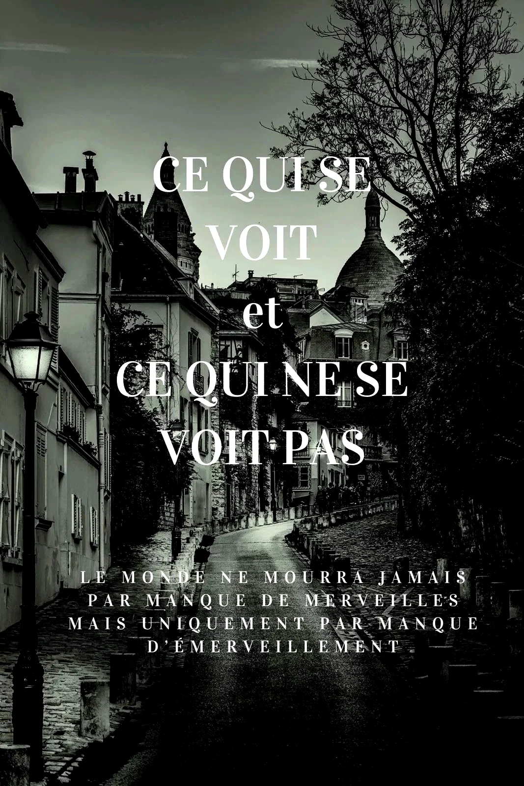 Affiche du film : Ce qui se voit et ce qui ne se voit pas
