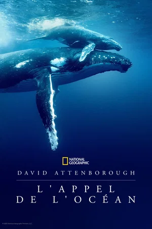 Affiche du film : David Attenborough : L'Appel de l'Océan