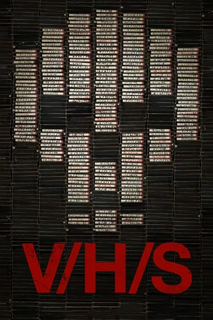 Affiche du film : V/H/S