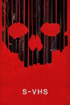 Affiche du film V/H/S 2
