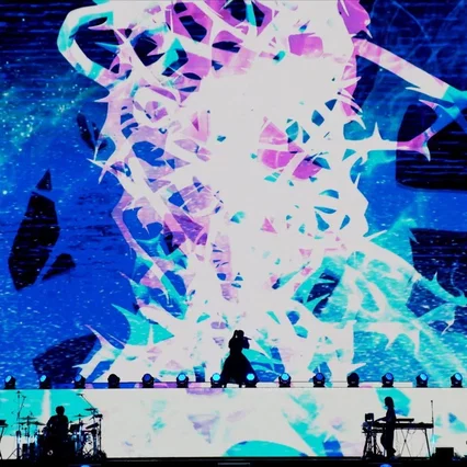 Miniature photo du film : Ado special live "Shinzou"