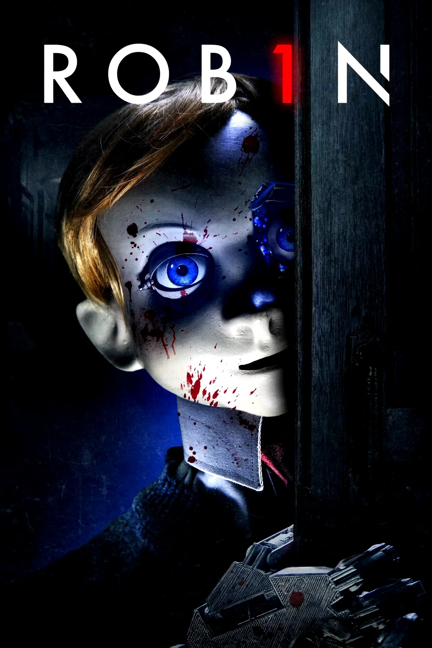 Affiche du film : Rob1n