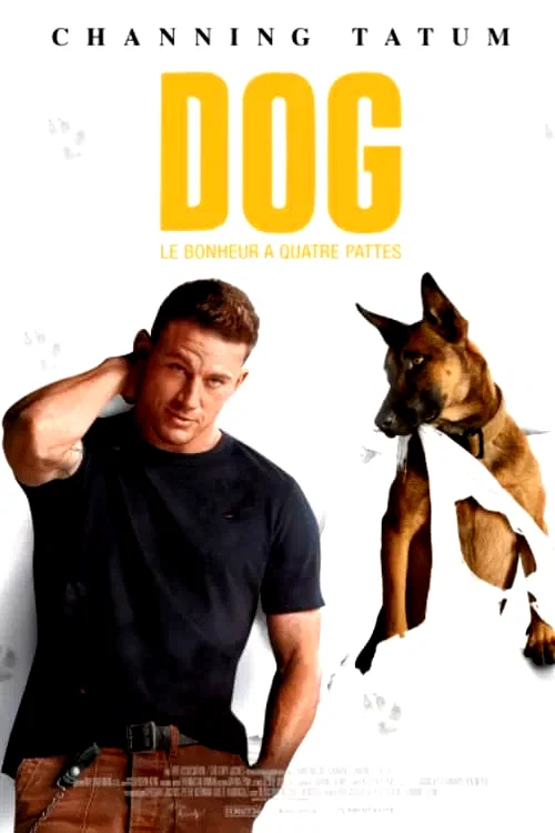 Affiche du film : Dog