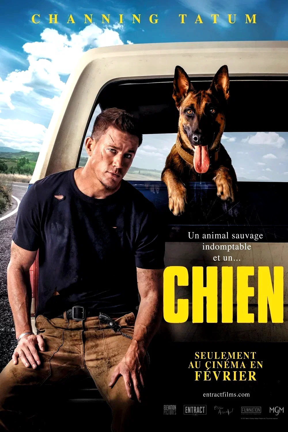 Photo 2 du film : Dog