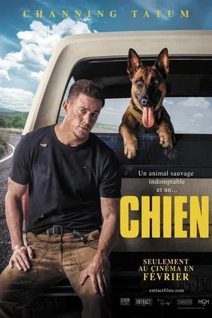 Photo du film : Dog