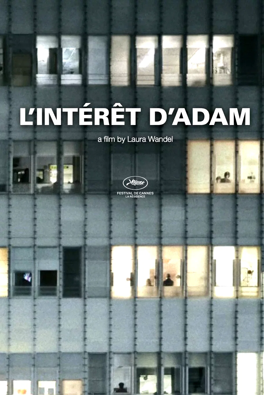 Photo 2 du film : L'Intérêt d'Adam