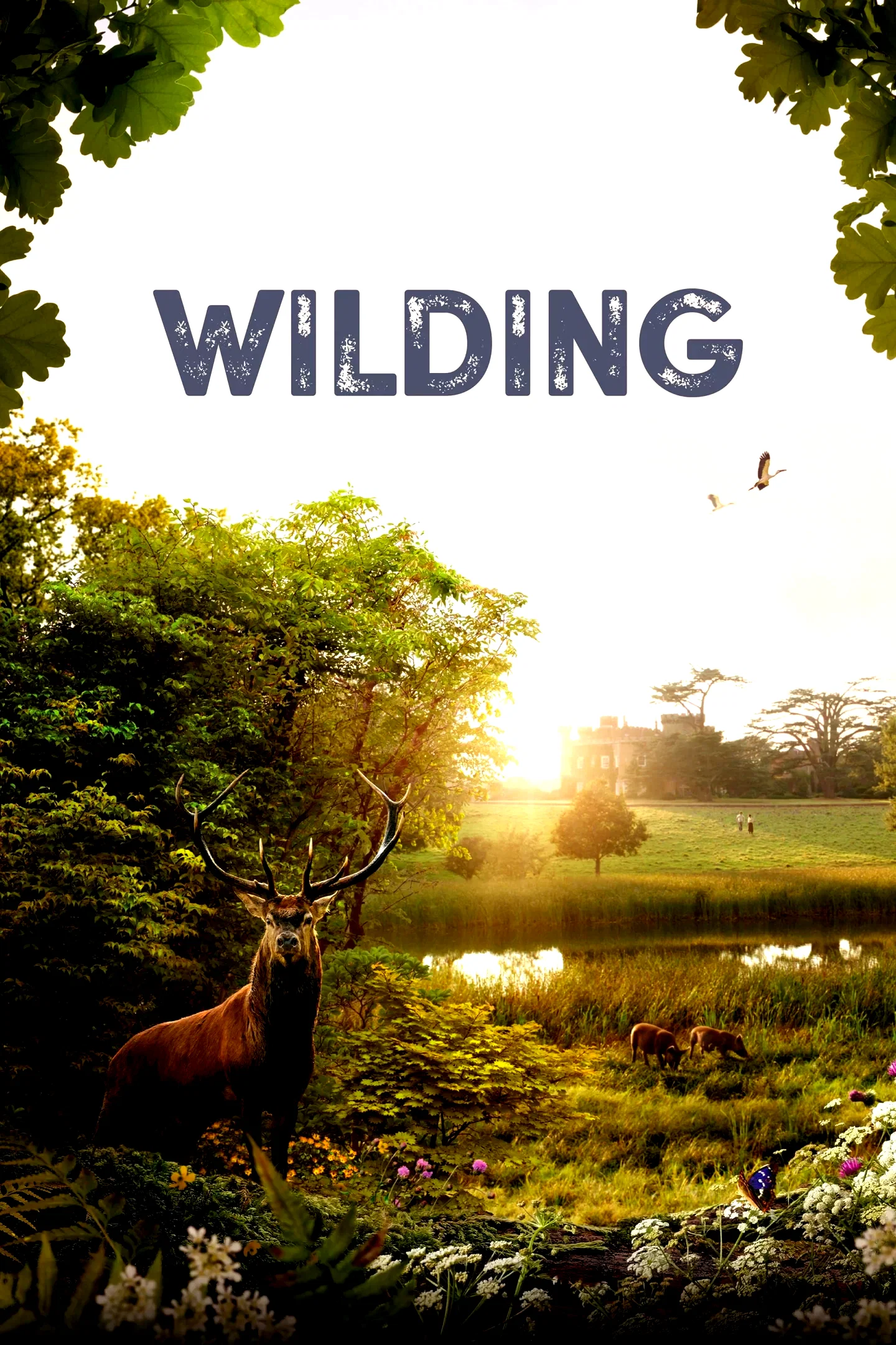 Photo 1 du film : Wilding, Retour à la Nature Sauvage