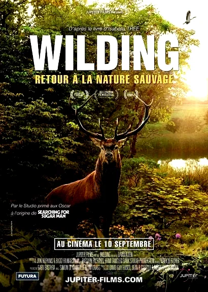 Affiche du film : Wilding, Retour à la Nature Sauvage