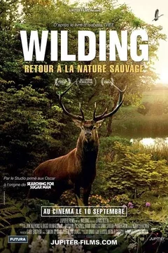 Affiche du film Wilding, Retour à la Nature Sauvage
