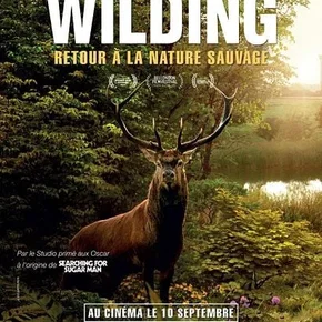 Photo du film : Wilding, Retour à la Nature Sauvage