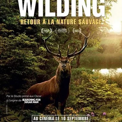 Miniature photo du film : Wilding, Retour à la Nature Sauvage