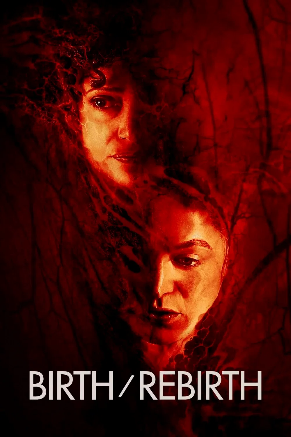 Affiche du film : Birth/Rebirth